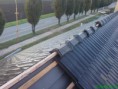 /album/fotogalerie-strechy/dsc00266-jpg/